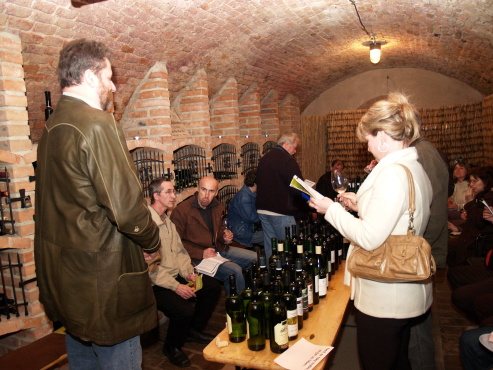 degustace vín degustace vín